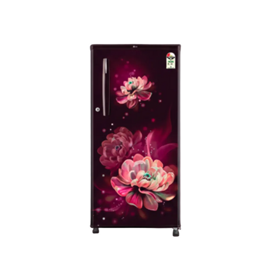 LG REF DC-N 185 L GLD1925WOWB.AWBZEBN 2*