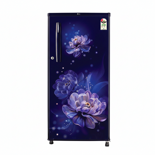 LG REF DC-N 185 L GLD1925WORB.ARBZEBN 2*